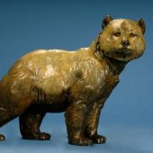 Standing Cub